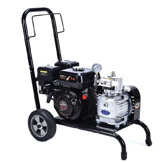 High Pressure Gasoline Engine Diaphragm Pump Airless Paint Sprayer Machine Latex Paint Spraying Equipment Putty Coating Device